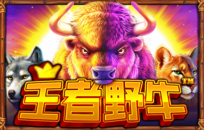 bob sport官网